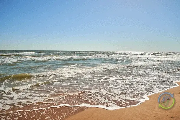 Инвестиционные апартаменты в Кучугурах у моря - Фото 8