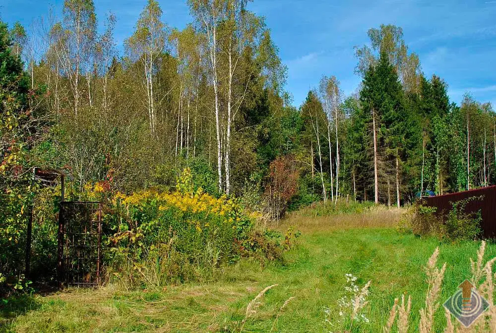 Дача в лесу на 9 сотках в СНТ Репка у д. Шапкино, Наро-Фоминский район - Фото 24