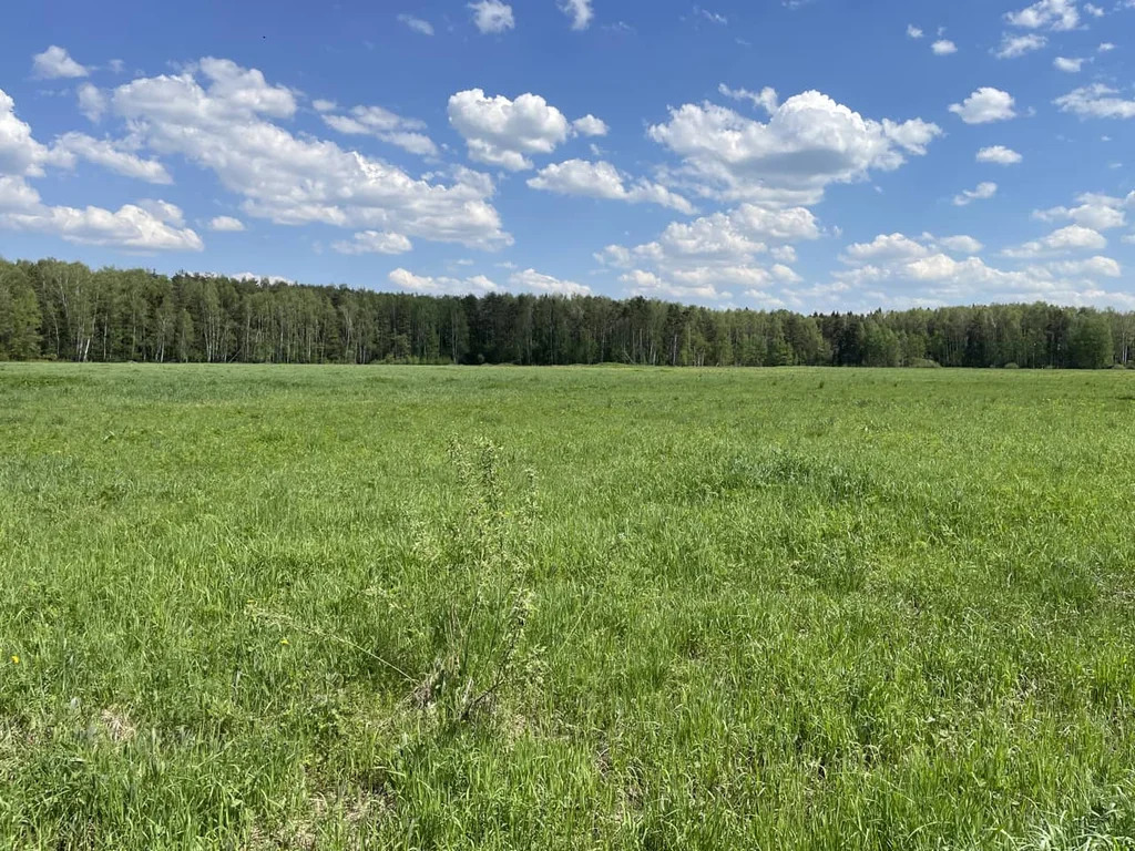 Продажа участка, Княжево, Дмитровский район - Фото 7