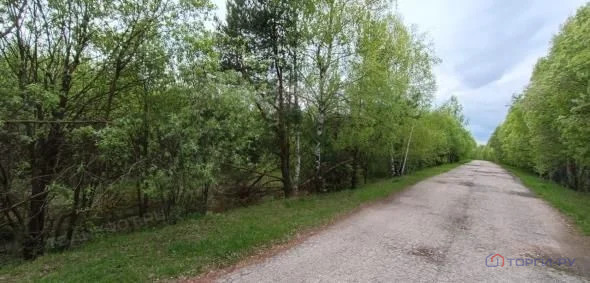 Продажа участка, Свобода, Вадский район - Фото 2