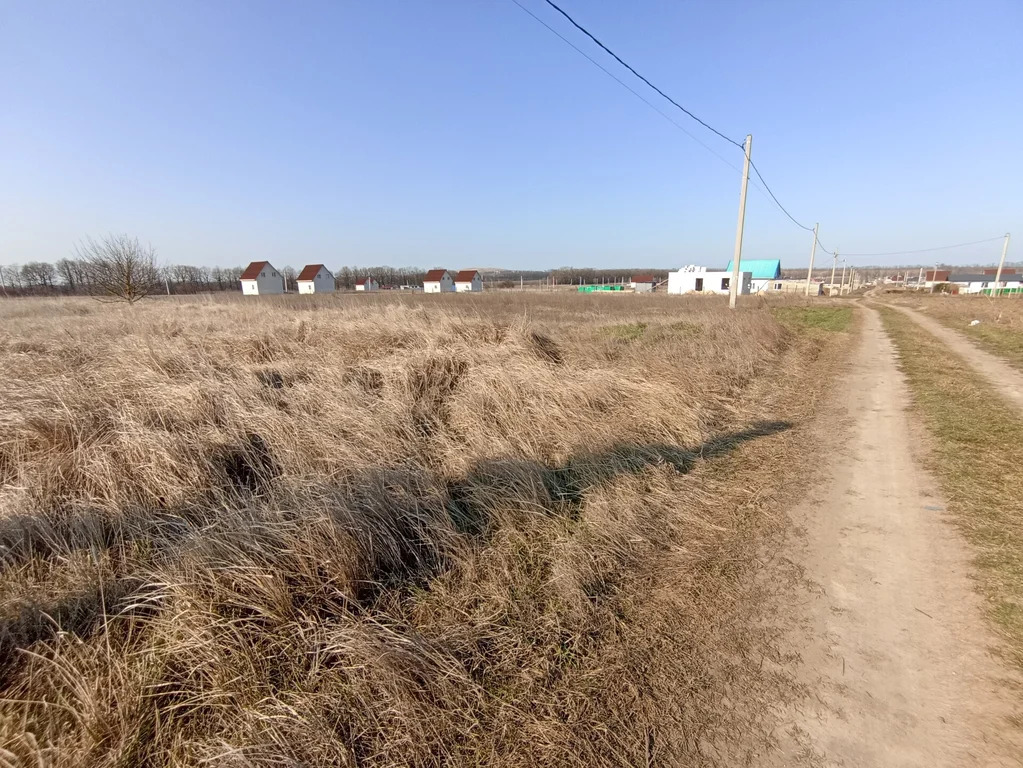 Продажа участка, Белый, Темрюкский район, ул. Молодежная - Фото 0