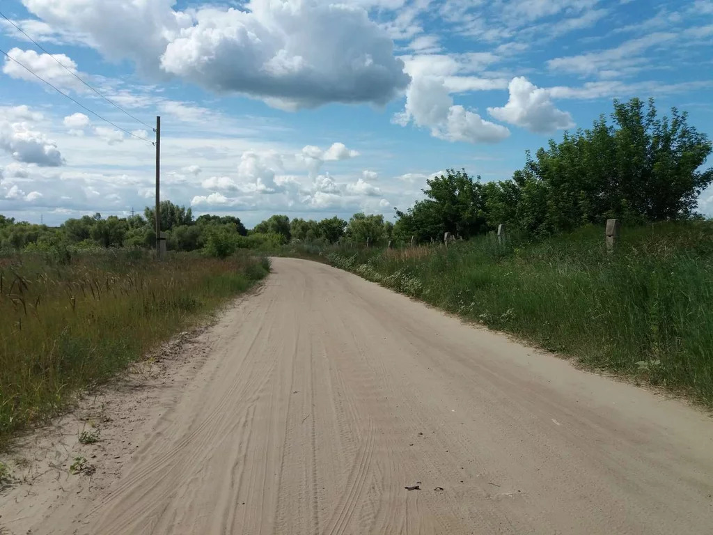 Село девица острогожского района фото