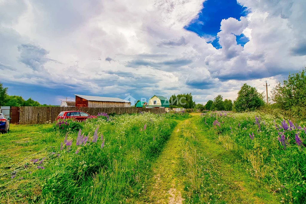 Камешковский район, деревня Бородино,  земля на продажу - Фото 24