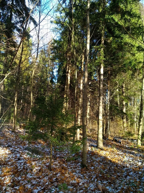 Продажа дома, Мытищинский район - Фото 12