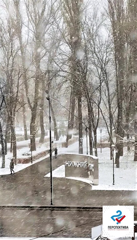 Аренда офиса, Липецк, Петра Великого пл. - Фото 2