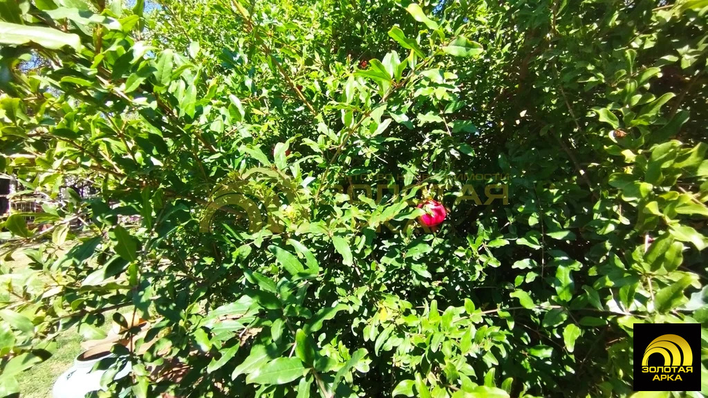 Продажа дома, Вышестеблиевская, Темрюкский район, ул. Ленина - Фото 19