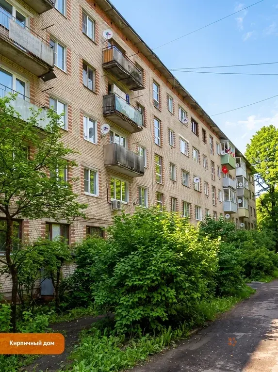 Продается 1-комнатная квартира с. Троицкое, 46 - Фото 10