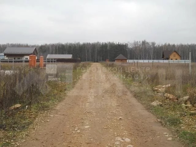 Деревня большие жеребцы щелковский