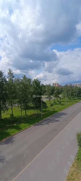 Продажа квартиры, м. Озерки, Северный пр-кт. - Фото 25