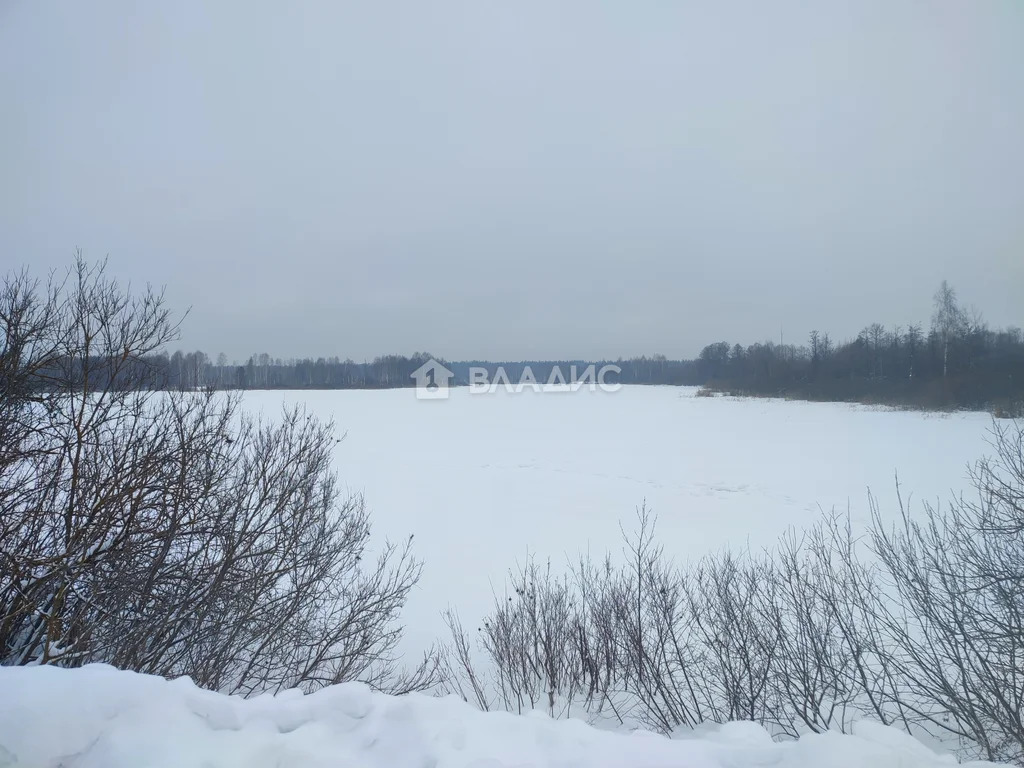 Гусь-Хрустальный район, деревня Уляхино, Полевая улица,  земля на ... - Фото 7