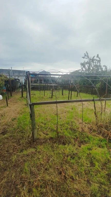 Продажа дома, Темрюк, Темрюкский район, ул. Гагарина - Фото 17