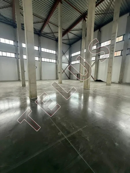 МО, Лобня, с. Озерецкое, Рогачевское шоссе, 5450 м2, Склад на участке ... - Фото 3