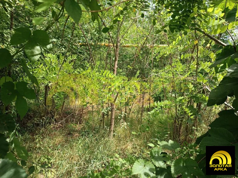 Продажа участка, Мингрельская, Абинский район, ул. Степная - Фото 5