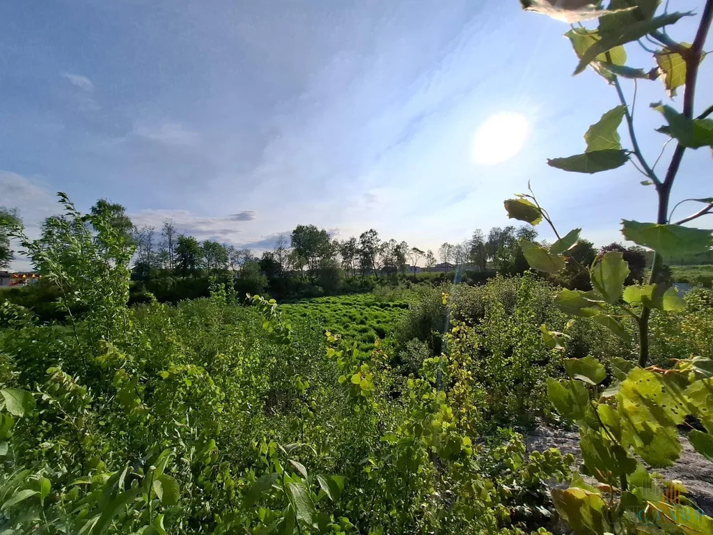 Продажа дома, Новосергиевка, Всеволожский район, Заречная улица - Фото 26