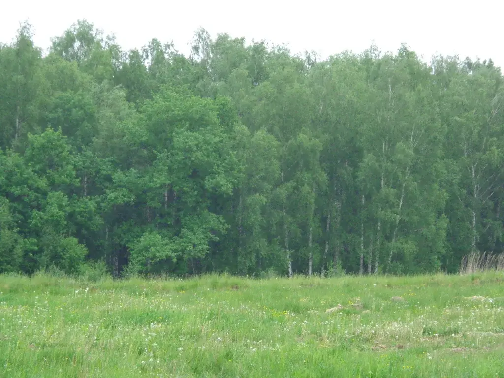 3 га. ДНП Велеми Серпуховский район.