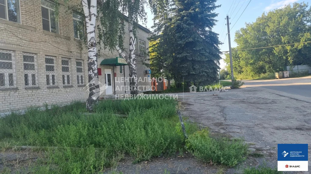 Продажа ПСН, Путятино, Путятинский район, ул. Дзержинского - Фото 21