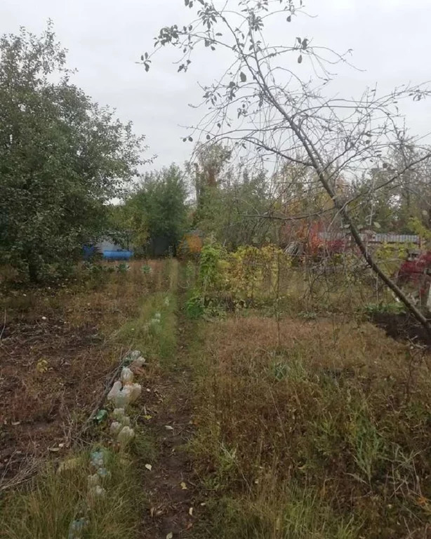 Продажа дома, Саратов, 3-й Пихтовый проезд - Фото 4