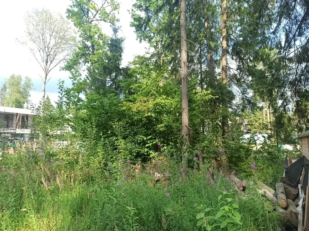 Участок в элитном современном посёлке Успенские леса на Рублевке - Фото 4