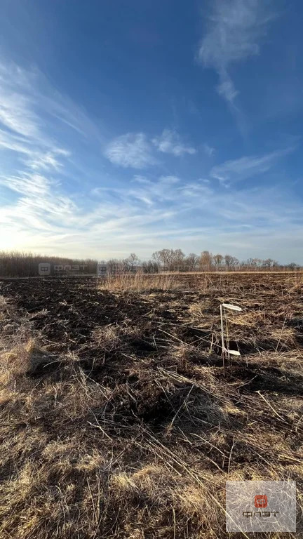 Продажа участка, Русское Макулово, Верхнеуслонский район, ул. ... - Фото 4