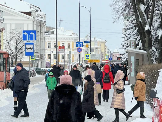 Продам однокомнатную (1-комн.) квартиру, Гагарина пр-кт, 36к5, Нижн... - Фото 33