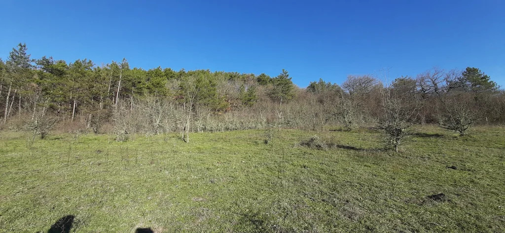 Продажа участка, Аромат, Бахчисарайский район, ул. Ялтинская - Фото 5