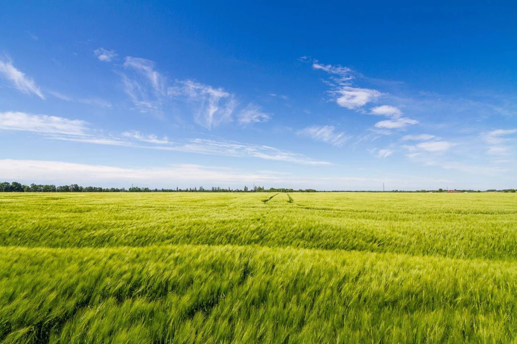 Продается земельный участок 1961 сот. - Фото 6