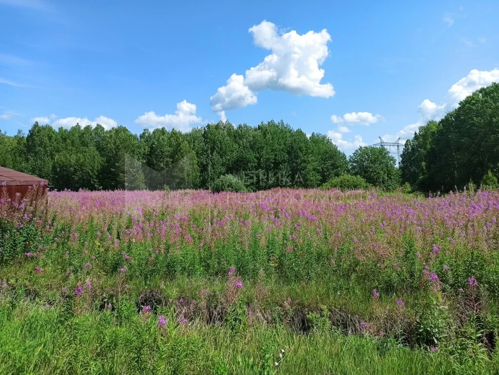 Продажа участка, Каменка, Тюменский район, Тюменский р-н - Фото 0