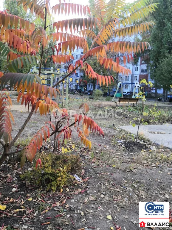 Аренда квартиры, Воронеж, ул. Генерала Лизюкова - Фото 16