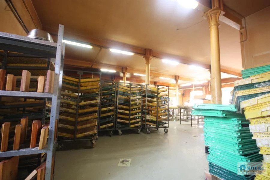 Аренда помещения пл. 700 м2 под производство, пищевое производство . - Фото 7