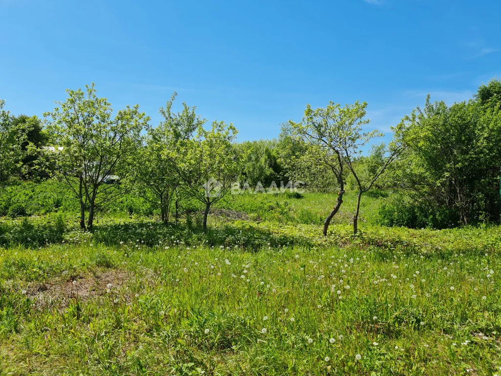 Суздальский район, село Сновицы, Сиреневая улица,  земля на продажу - Фото 19