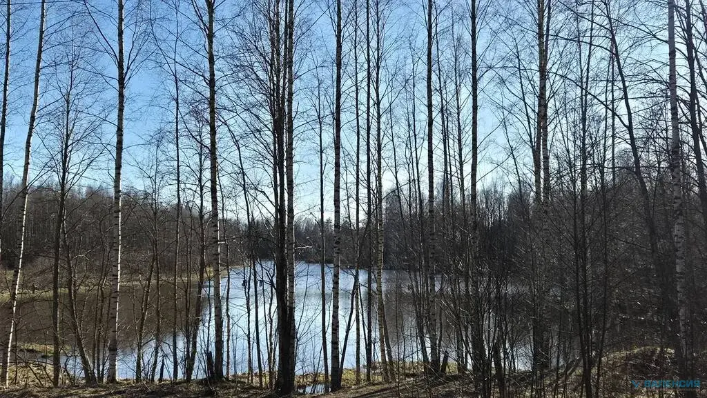 Продается ЗУ в собственности в ТСН "Вымпел" - Фото 12