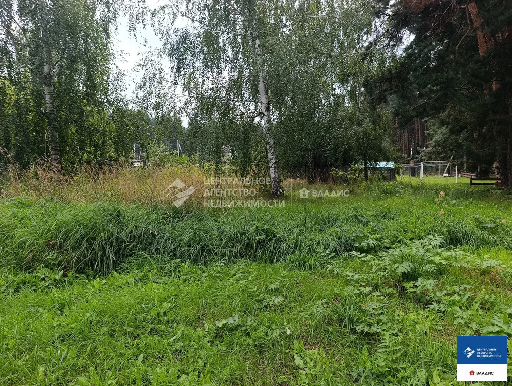 Продажа участка, Тырново, Шиловский район, ул. Зеленая - Фото 15