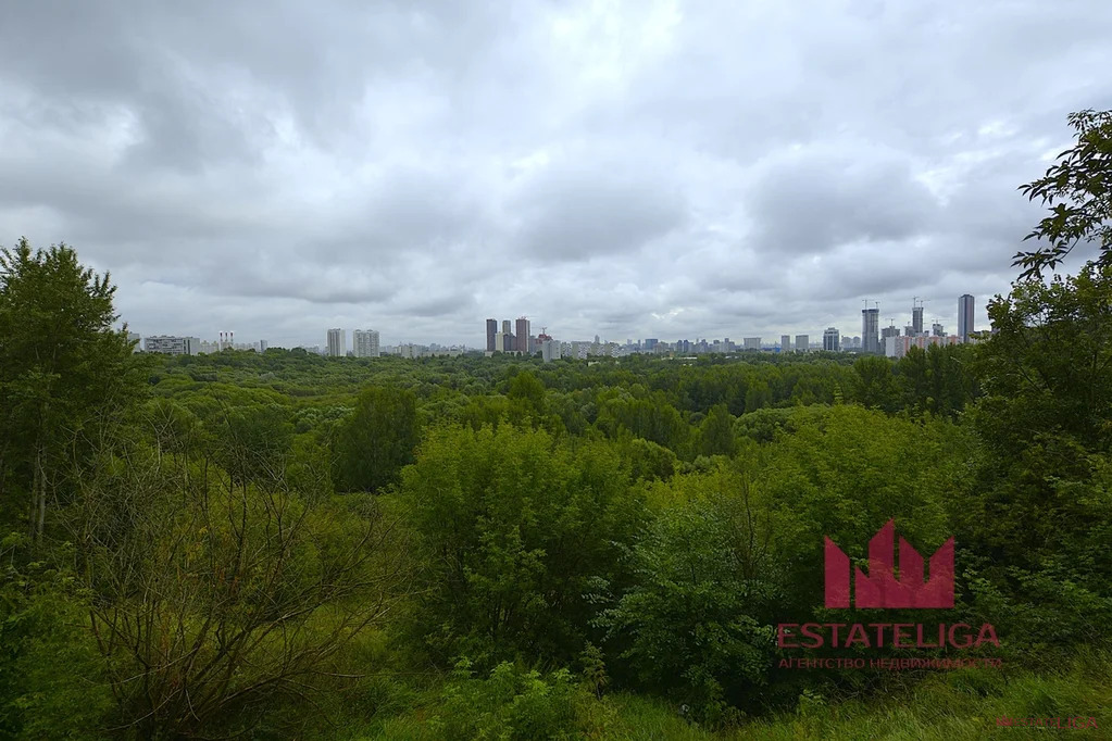 Продажа квартиры, м. Сходненская, Яна Райниса б-р. - Фото 23