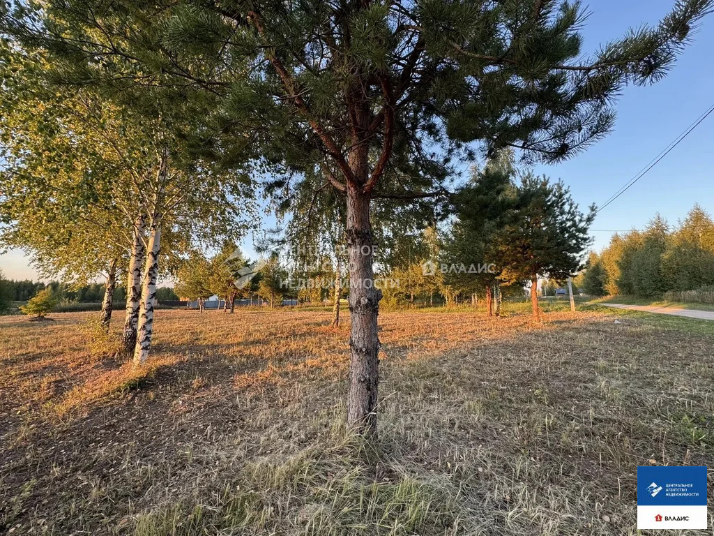 Продажа участка, Рязанский район - Фото 10