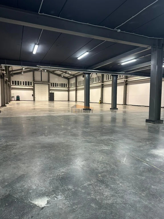 Аренда производственного помещения, Большое Буньково, Богородский г. ... - Фото 1