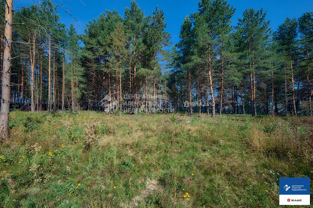 Продажа участка, Алеканово, Рязанский район, Лесная улица - Фото 2