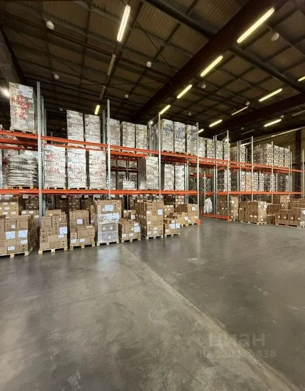 Продажа склада 7500.0м ул. Центральная, 17В, Московская область, ... - Фото 3