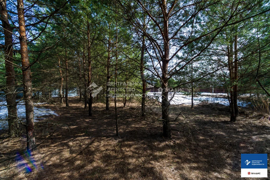 Продажа участка, Рязанский район, Ясная улица - Фото 7