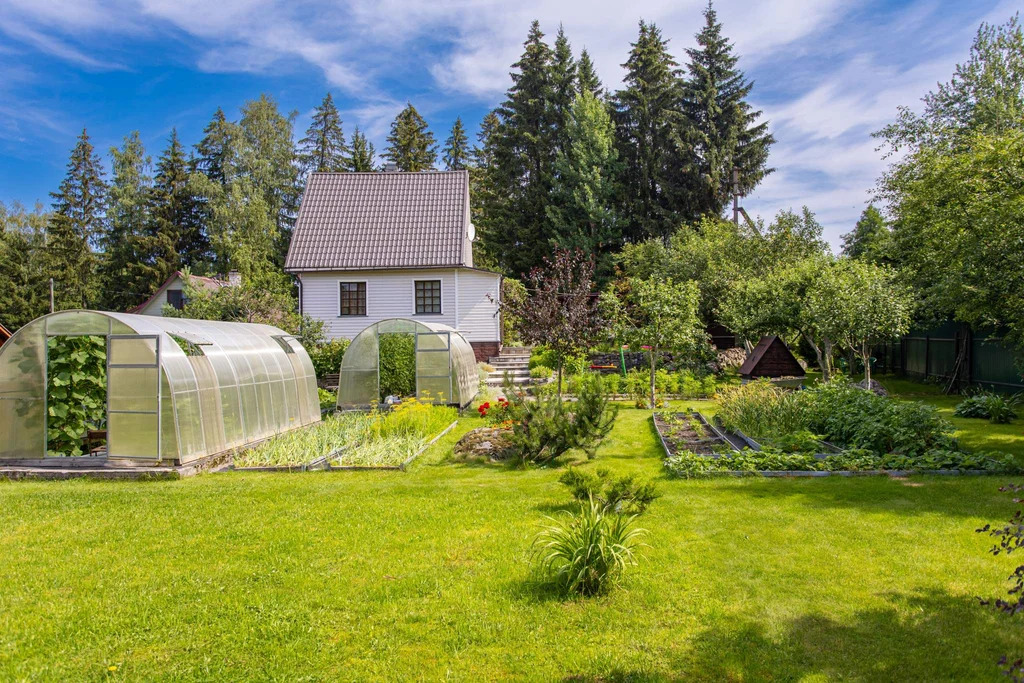 Дача у Вуоксы, всего 200 метров до воды – живите ближе к природе! - Фото 5