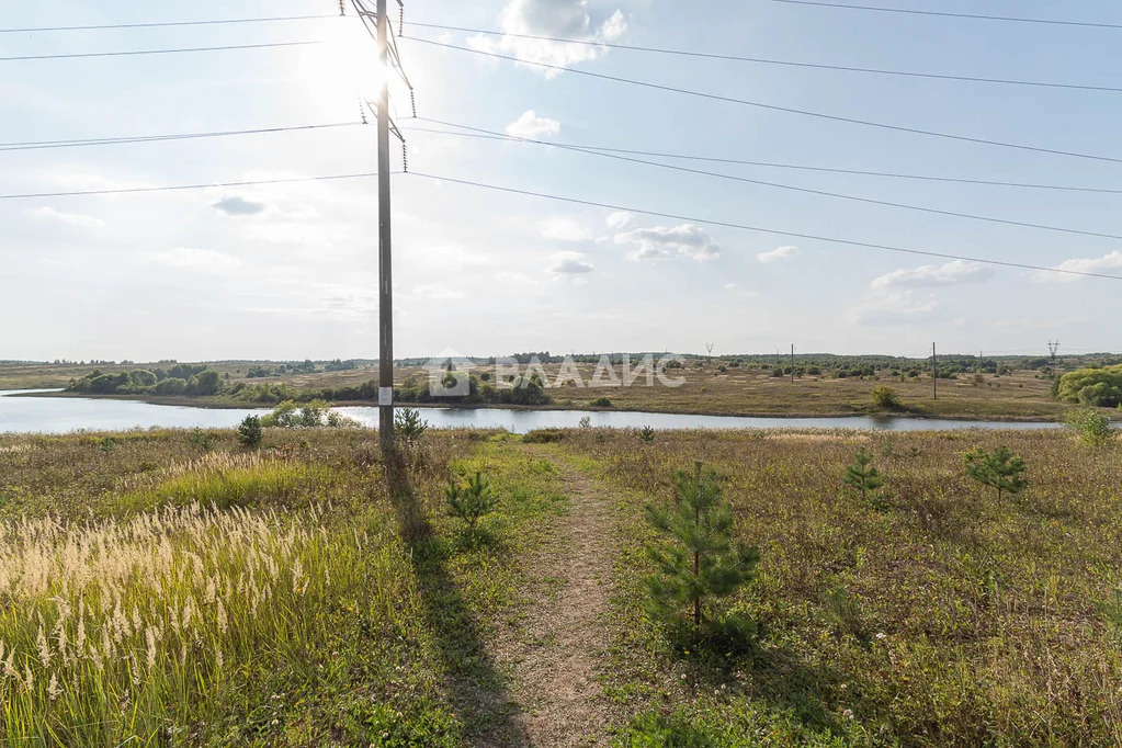 городской округ Владимир, село Спасское, Ленинский район, Житная ... - Фото 39