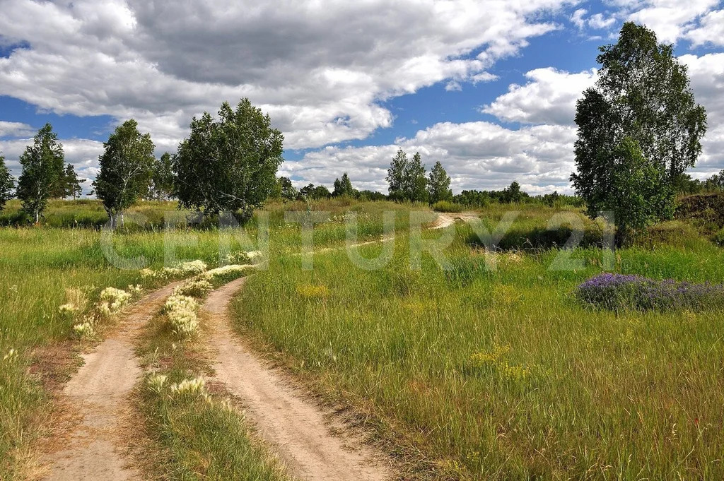 продажа земельного участка, рябово, тосненский район, рябово г.п. - Фото 2