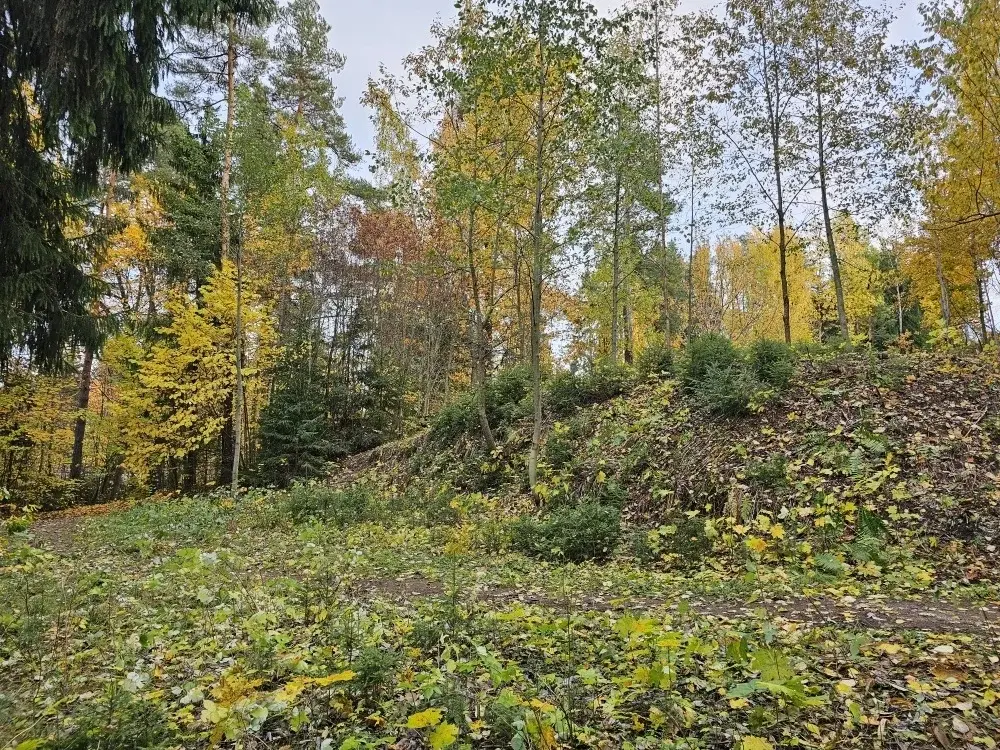 Продается роскошный уч. 32 сот.(ИЖС) на берегу озера в пос.Токсово - Фото 7