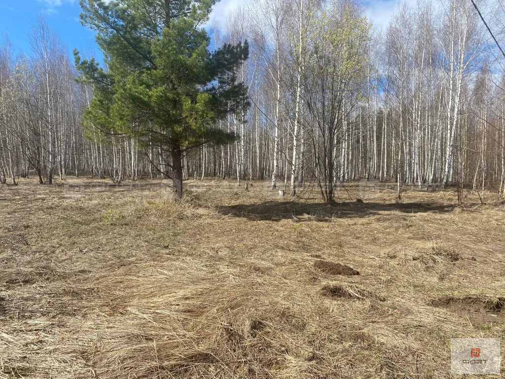 Продажа участка, Верхнеуслонский район, садовое товарищество Агат - Фото 2