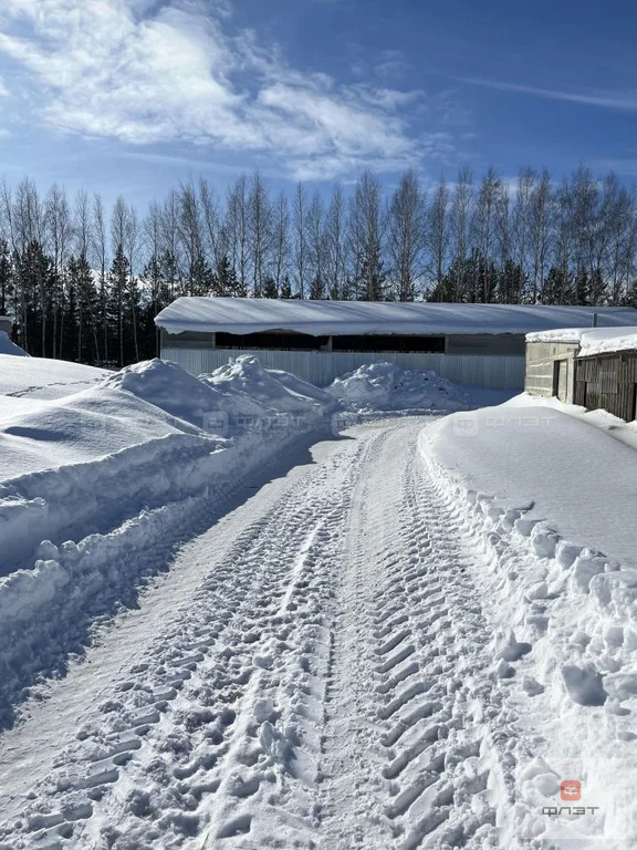 Продажа склада, Копки, Кукморский район, ул. Советская - Фото 18