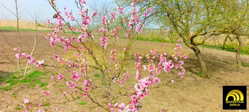 Продажа дома, Красная Батарея, Крымский район - Фото 8