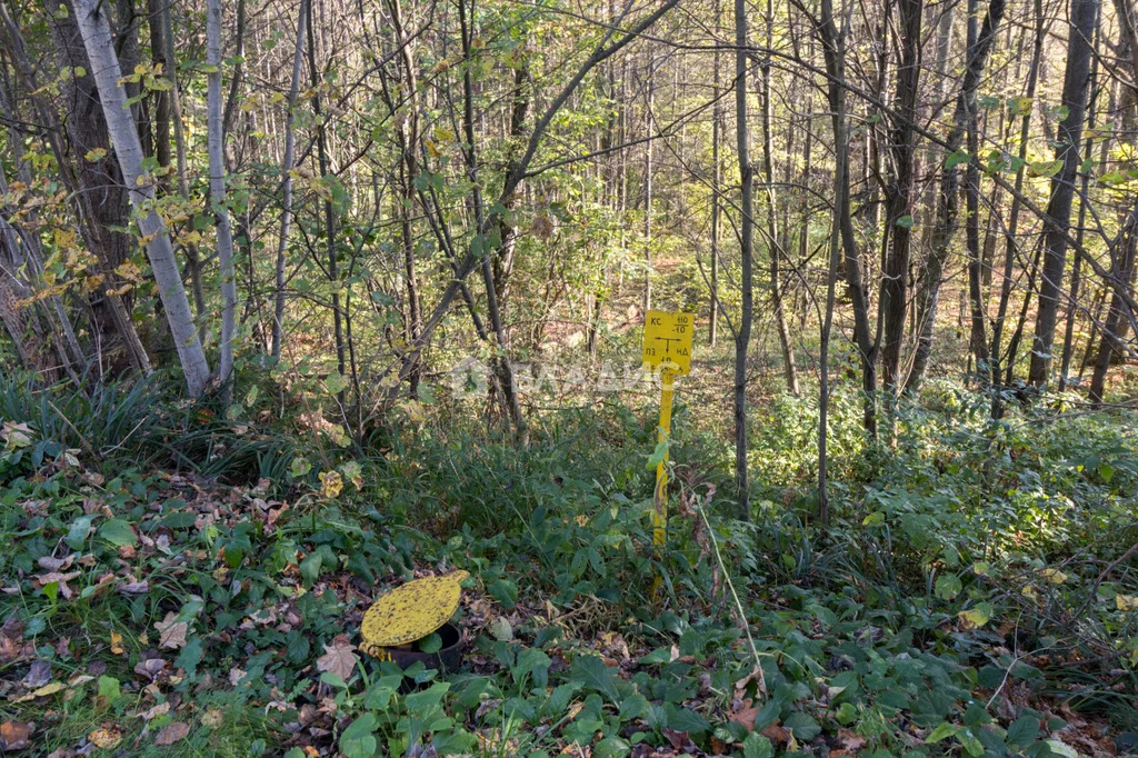 городской округ Чехов, деревня Прохорово, Озёрная улица,  земля на ... - Фото 3