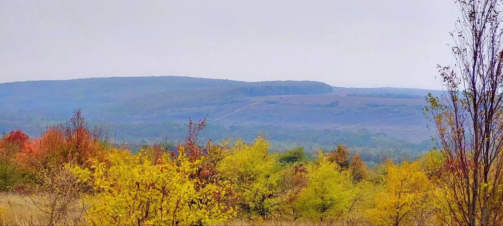 Продажа участка, Новоалексеевский, Северский район - Фото 4