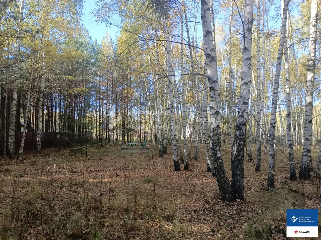 Продажа участка, Спасский район - Фото 10