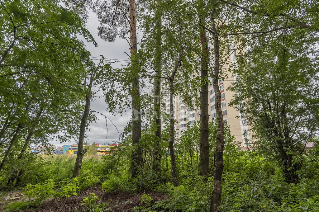 Продажа квартиры, Лобня, улица Юности - Фото 32