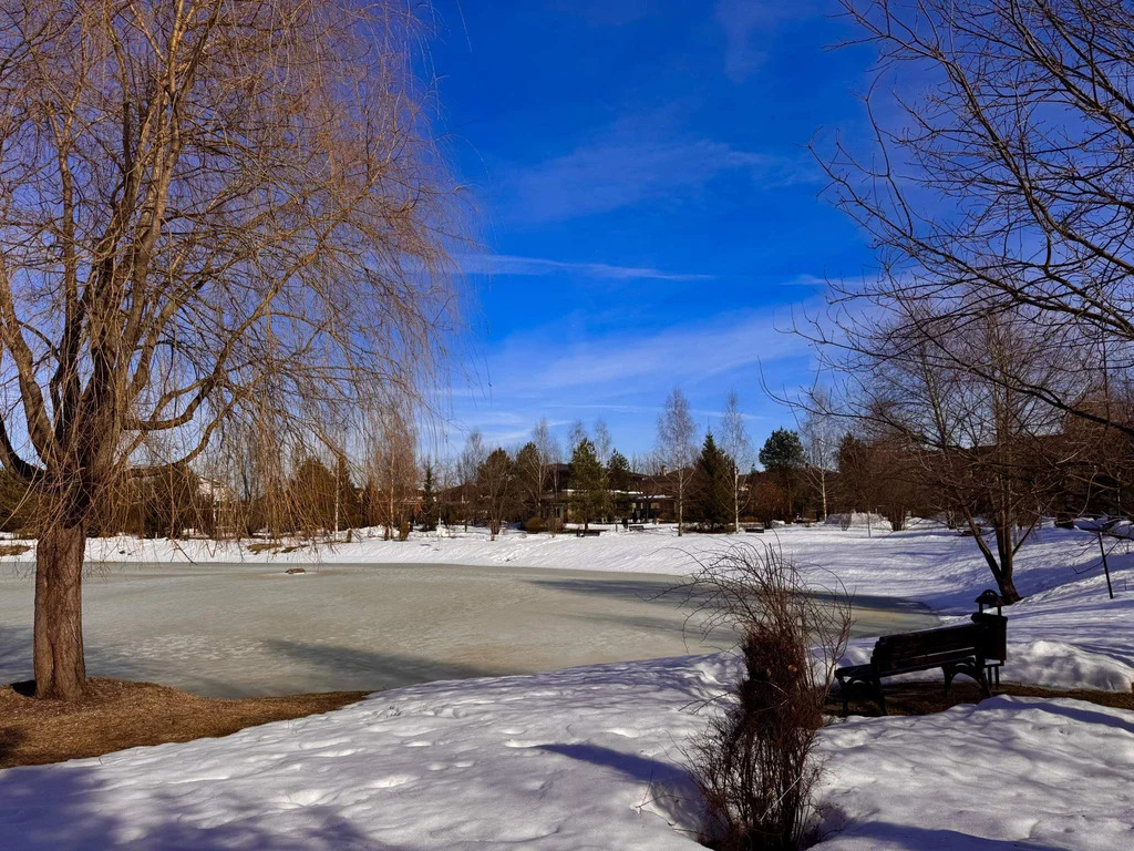 Участок 12,5 cоток - Фото 3